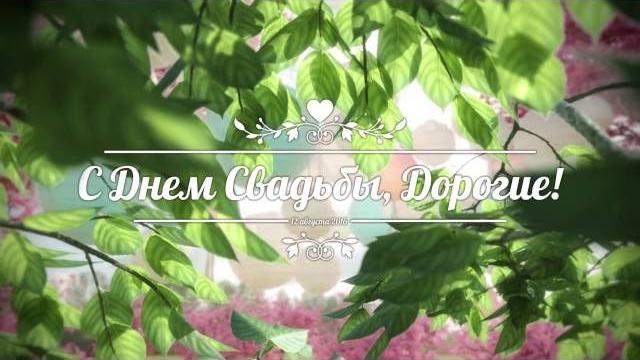 Наталья и Илья. Видео на День свадьбы Наталья и Илья. Видео на День свадьбы