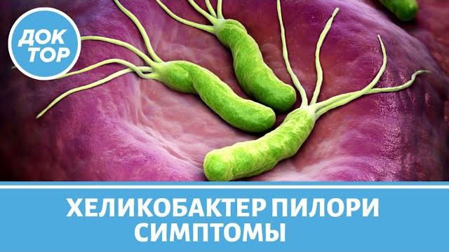 Признаки заражения Хеликобактер Пилори Признаки заражения Хеликобактер Пилори