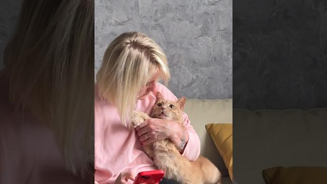 Когда у тебя аллергия на кота Когда у тебя аллергия на кота
