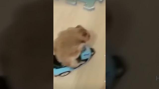 привыкни к аппарату #мем #прикол привыкни к аппарату #мем #прикол