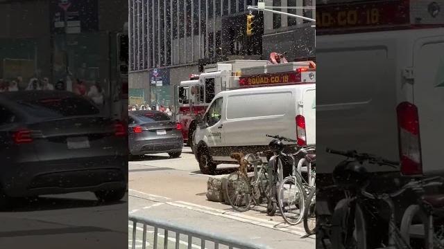 Bees swarm in Manhattan Bees swarm in Manhattan