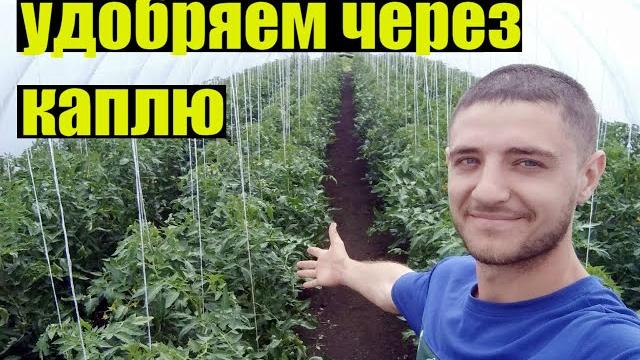 Внесение удобрений через капельный полив Внесение удобрений через капельный полив