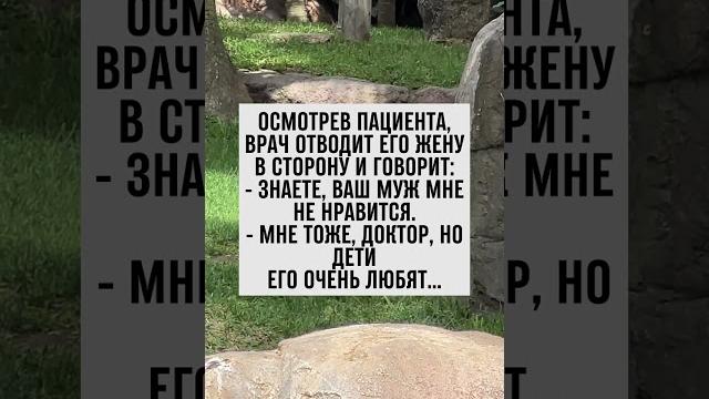 Когда мечта становится реальностью... #юмор #анекдот Когда мечта становится реальностью... #юмор #анекдот