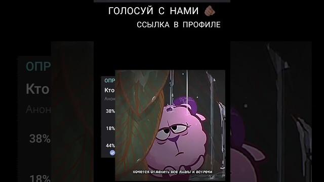 Кто ты из смешариков? 2 Кто ты из смешариков? 2