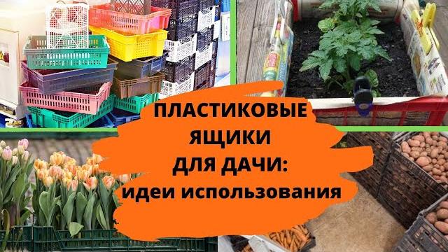 Пластиковые ящики для ДАЧИ: идеи применения Пластиковые ящики для ДАЧИ: идеи применения