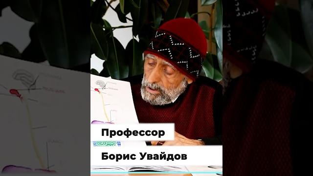 Здоровье печени Здоровье печени