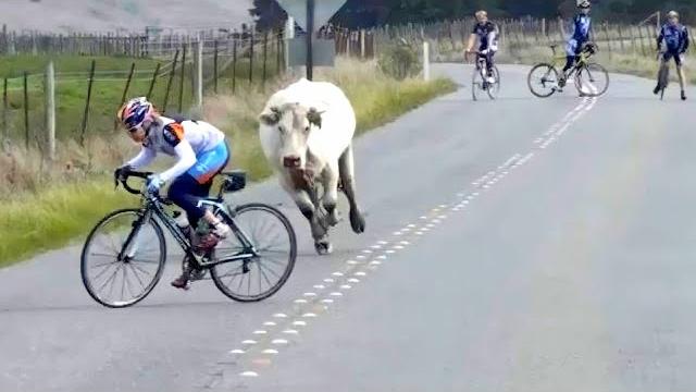 Funny Moments Of The Year Compilation PART 5 Funny Moments Of The Year Compilation PART 5