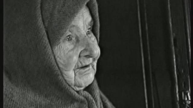 Последний год жизни наивного художника Последний год жизни наивного художника