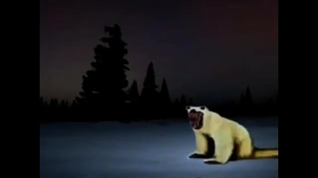медведь из 2026 года медведь из 2026 года