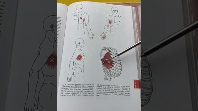ПРИ БОЛИ В ГРУДИ ПОПРОБУЙ ЭТО ПРИ БОЛИ В ГРУДИ ПОПРОБУЙ ЭТО