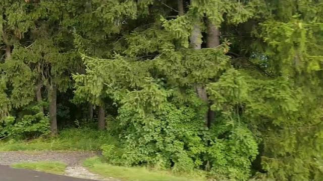 знакомый вид из окна автомобиля знакомый вид из окна автомобиля