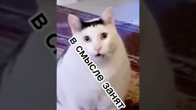 КАКОГО ФИГА?! ХАХА КАКОГО ФИГА?! ХАХА