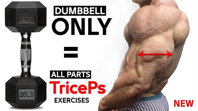 TRICEPS Exercises WITH DUMBBELLS AT HOME AND GYM TRICEPS Exercises WITH DUMBBELLS AT HOME AND GYM