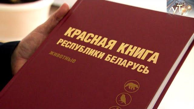 КРАСНАЯ КНИГА БЕЛАРУСИ | Зеленая среда КРАСНАЯ КНИГА БЕЛАРУСИ | Зеленая среда