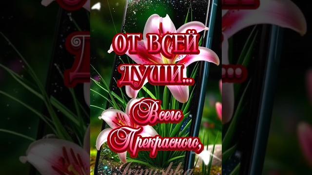 От всей души... Всего прекрасного!С добрым утром!#сдобрымутром #пожелания #длявас #rec #shortsvideo От всей души... Всего прекрасного!С добрым утром!#сдобрымутром #пожелания #длявас #rec #shortsvideo