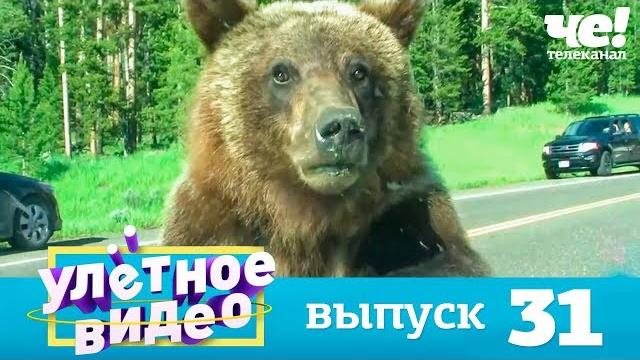 Улетное видео | Выпуск 31 Улетное видео | Выпуск 31