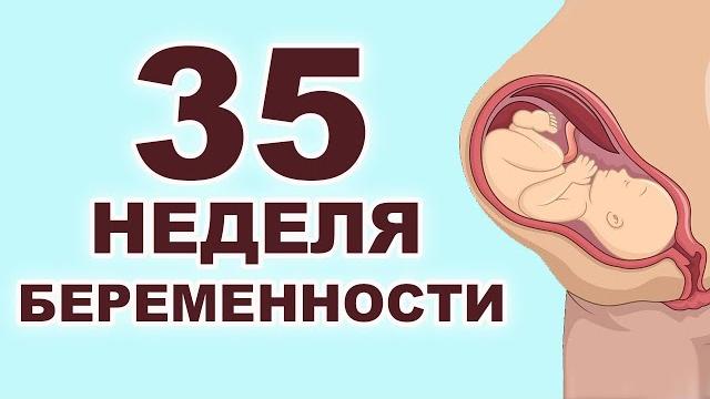 Что происходит с ребенком и мамой на 35 неделе беременности? 8 месяц беременности. Третий триместр. Что происходит с ребенком и мамой на 35 неделе беременности? 8 месяц беременности. Третий триместр.