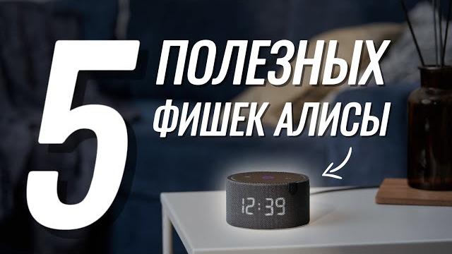 Эти 5 НАВЫКОВ Алисы помогут вам в жизни Эти 5 НАВЫКОВ Алисы помогут вам в жизни