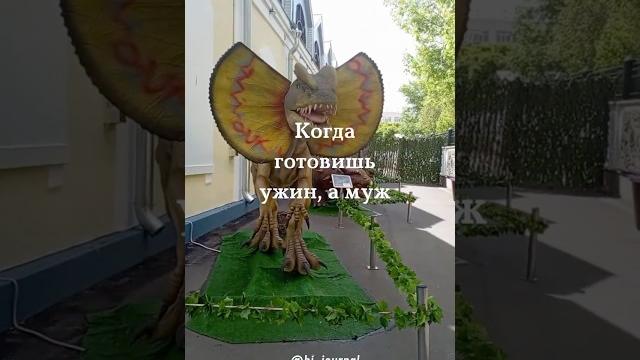 Юмор дня! Когда готовишь ужин, а муж спрашивает Юмор дня! Когда готовишь ужин, а муж спрашивает