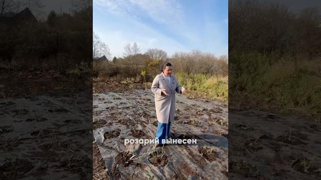 Полное видео смотрите на канале #розарий #роза #розы #розывсаду #розовыйсад #штамб #штамброзы #сад Полное видео смотрите на канале #розарий #роза #розы #розывсаду #розовыйсад #штамб #штамброзы #сад