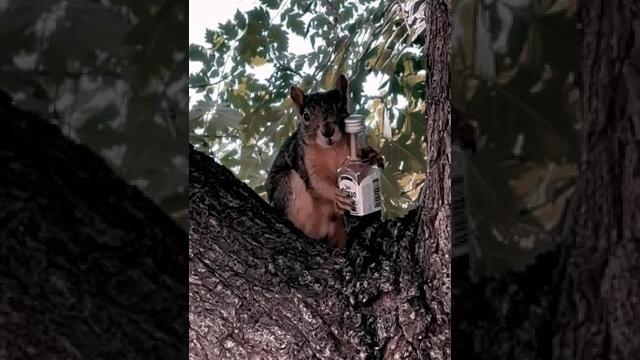А кому сейчас легко )) А кому сейчас легко ))