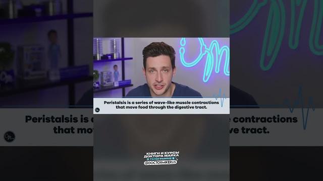 Почему урчит в животе? Почему урчит в животе?