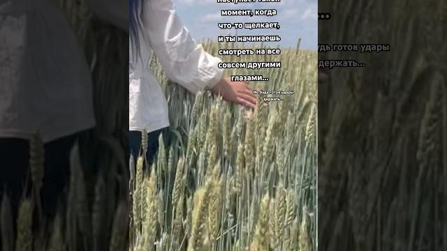 #2025 #рокки #видео #жизнь #рекомендации #цитаты #мудрость #shorts #шортс #фильм #музыка #любовь #2025 #рокки #видео #жизнь #рекомендации #цитаты #мудрость #shorts #шортс #фильм #музыка #любовь
