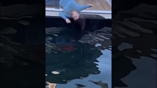 Прикол про алкашей. Прикол про алкашей.
