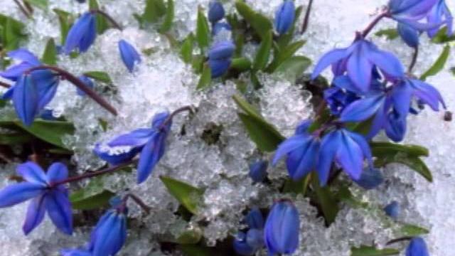 Первый день весны Первый день весны