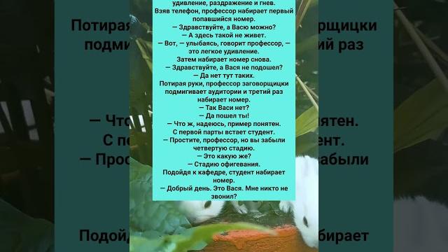 СТАРЫЙ СМЕШНОЙ АНЕКДОТ ПРО СТУДЕНТА #анекдоты #Юмор #История #Жизнь #Анекдот #Прикол #США СТАРЫЙ СМЕШНОЙ АНЕКДОТ ПРО СТУДЕНТА #анекдоты #Юмор #История #Жизнь #Анекдот #Прикол #США