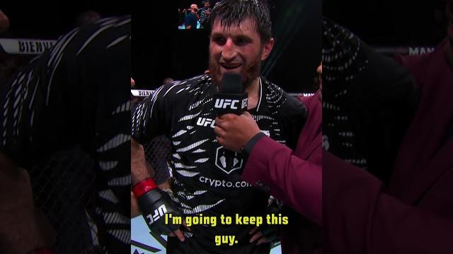 Ankalaev calling out Pereira #ufc313 Ankalaev calling out Pereira #ufc313