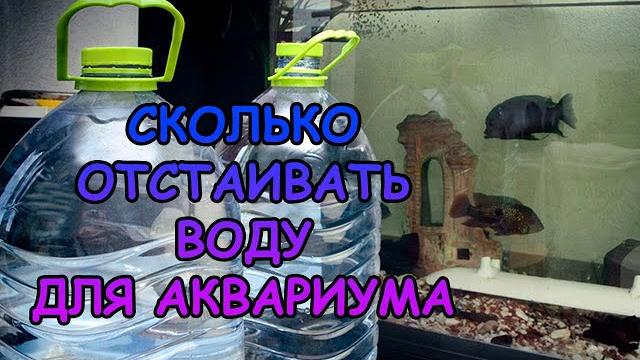СКОЛЬКО ОТСТАИВАТЬ ВОДУ ДЛЯ ПОДМЕН И ПЕРЕД ЗАСЕЛЕНИЕМ РЫБОК В АКВАРИУМ #АКВАМЕН #СВОИМИ_РУКАМИ СКОЛЬКО ОТСТАИВАТЬ ВОДУ ДЛЯ ПОДМЕН И ПЕРЕД ЗАСЕЛЕНИЕМ РЫБОК В АКВАРИУМ #АКВАМЕН #СВОИМИ_РУКАМИ