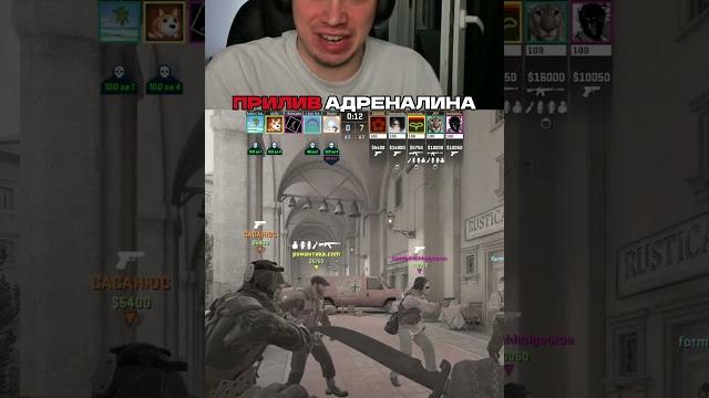 twitch:sasavot #twitch #sasavot twitch:sasavot #twitch #sasavot