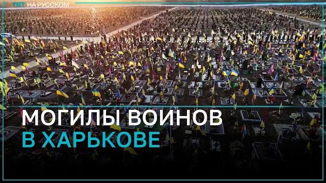 Шокирующие размеры военного кладбища в Харькове Шокирующие размеры военного кладбища в Харькове