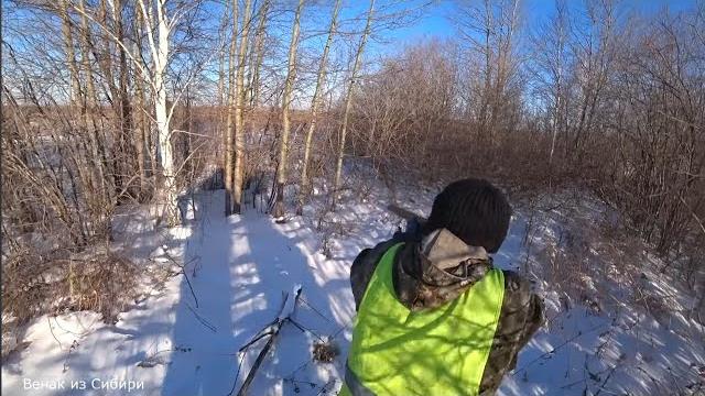 Охота в сибири! Охота в сибири!