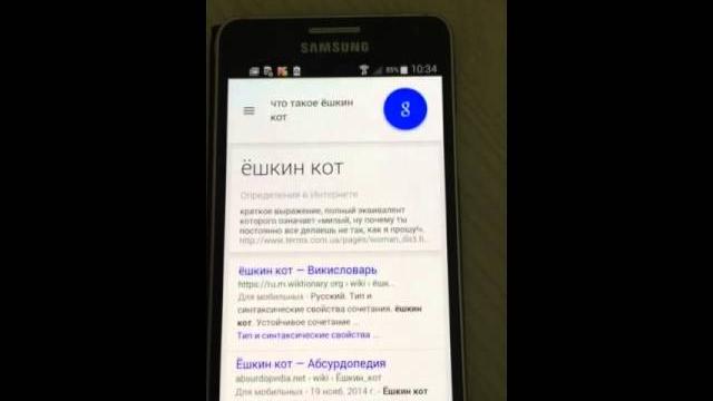 Что такое ёшкин кот. Что такое ёшкин кот.