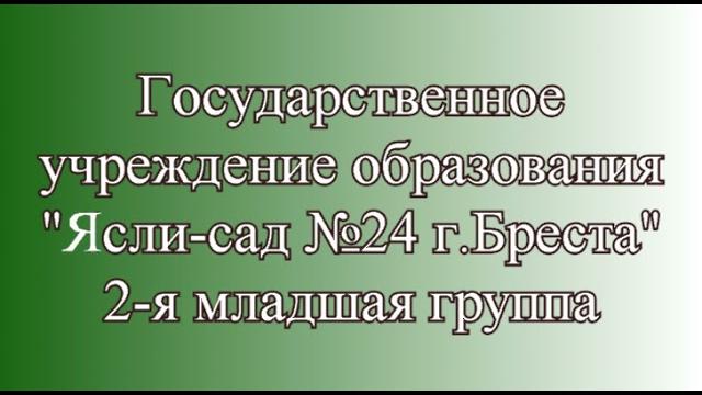 Мария Лиманская ДС24 Брест Мария Лиманская ДС24 Брест