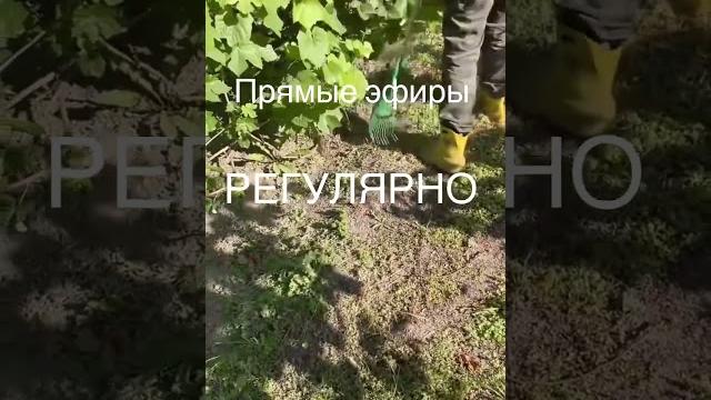 УХОД в САДУ ! ПОЧЕМУ? ЗАЧЕМ? А ЕСЛИ УХОД в САДУ ! ПОЧЕМУ? ЗАЧЕМ? А ЕСЛИ