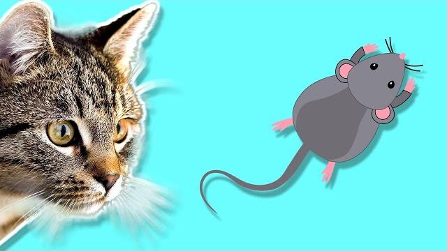 Новая серия игры для кошек, котов и котят! На экране шустрые мышки бегают для вашей кошки! Новая серия игры для кошек, котов и котят! На экране шустрые мышки бегают для вашей кошки!