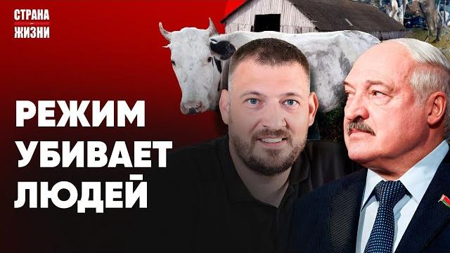 ЛУКАШЕНКО В БЕШЕНСТВЕ. 5 лет Тихановский в неволе. Рекордный падеж скота. Переговоры в Стамбуле ЛУКАШЕНКО В БЕШЕНСТВЕ. 5 лет Тихановский в неволе. Рекордный падеж скота. Переговоры в Стамбуле