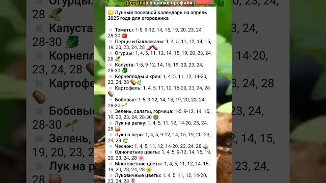 даты посева по лунному календарю на апрель 2025. даты посева по лунному календарю на апрель 2025.