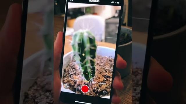 Как снимать макро видео??? iPhone Как снимать макро видео??? iPhone