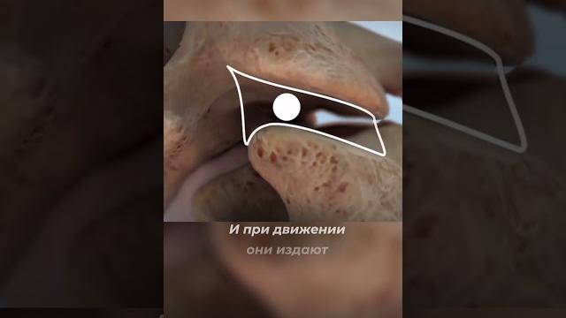 Почему хрустят суставы #фитнес Почему хрустят суставы #фитнес