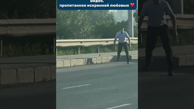 Мама-утка должна изучить с детьми ПДД Мама-утка должна изучить с детьми ПДД