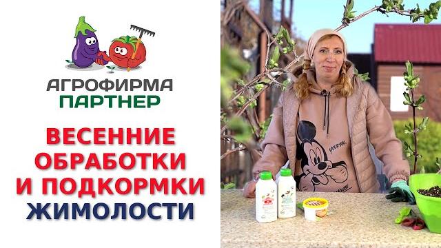 ВЕСЕННИЕ ОБРАБОТКИ И ПОДКОРМКИ ЖИМОЛОСТИ ВЕСЕННИЕ ОБРАБОТКИ И ПОДКОРМКИ ЖИМОЛОСТИ