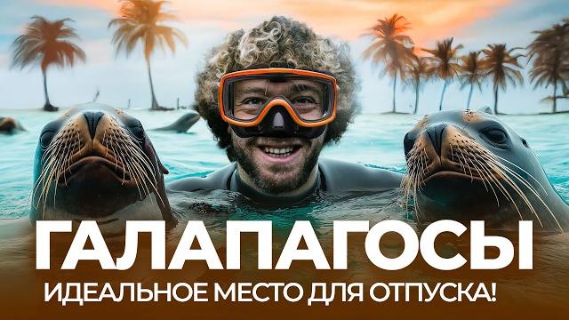 Галапагосы: райское место для отдыха | Тихий океан, природа, животные, пляжи, мусор и туристы Галапагосы: райское место для отдыха | Тихий океан, природа, животные, пляжи, мусор и туристы