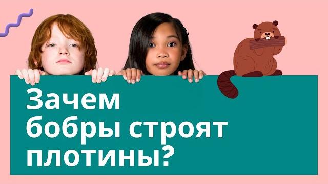 Зачем #бобры строят плотины? #ИнтересныеФакты #ФактыПроЖивотных #НаукаДляДетей #ДетскийКонтент Зачем #бобры строят плотины? #ИнтересныеФакты #ФактыПроЖивотных #НаукаДляДетей #ДетскийКонтент