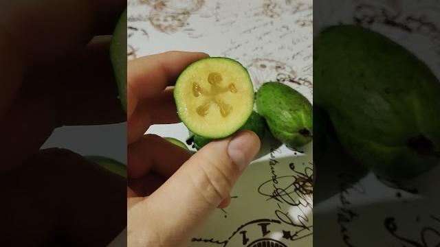 Очень полезный фрукт Фейхоа. Очень полезный фрукт Фейхоа.