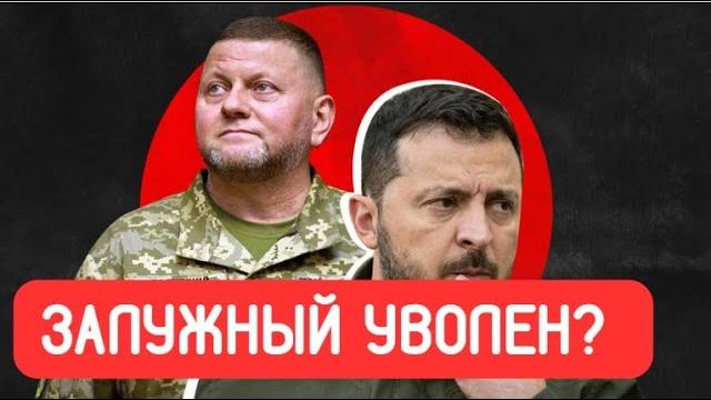 Залужный уволен?! Залужный уволен?!