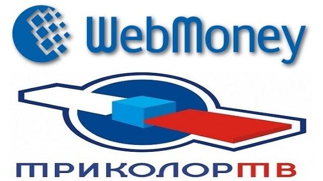 Как оплатить Триколор ТВ через WebMoney Как оплатить Триколор ТВ через WebMoney